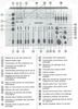Power Acoustics PMP 403 • Extrait du mode d'emploi
